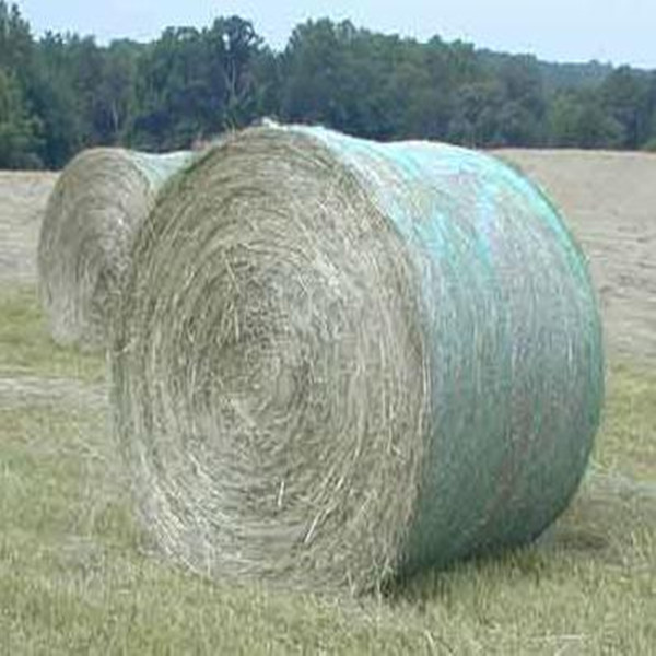 常州运泰大量供应捆草网,牧草网 常州运泰大量供应捆草网,牧草网