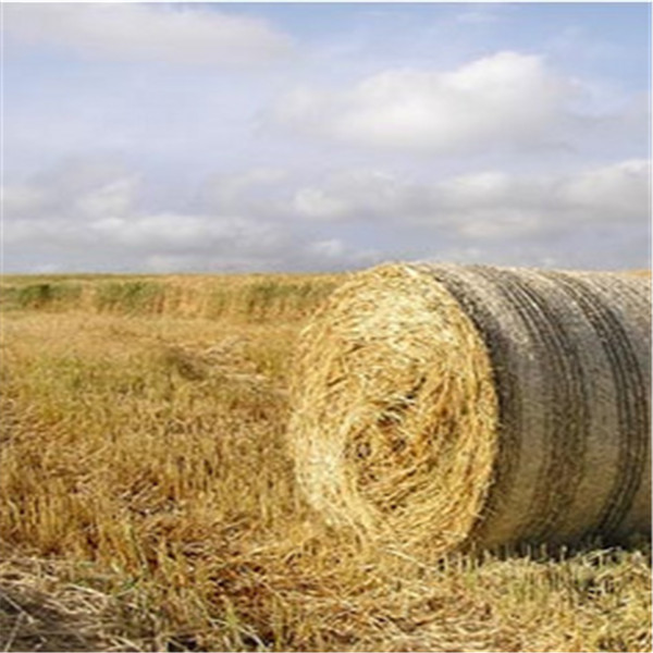 HDPE捆草网生产厂家 HDPE捆草网生产厂家