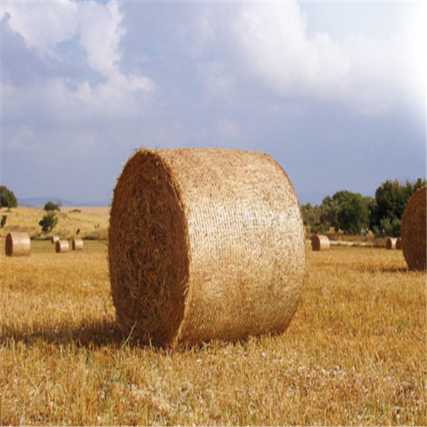 2014最新优惠产品 运泰捆草网牧草网 厂家直销 2014最新优惠产品 运泰捆草网牧草网 厂家直销