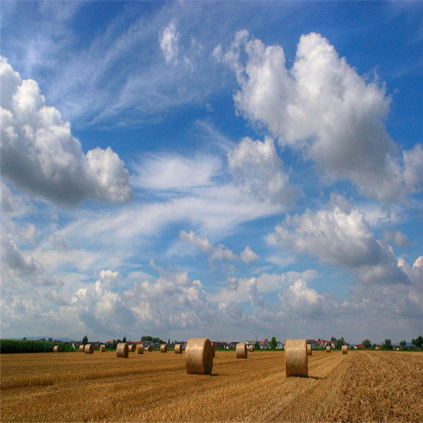 圆捆机专用捆草网 圆捆机专用捆草网