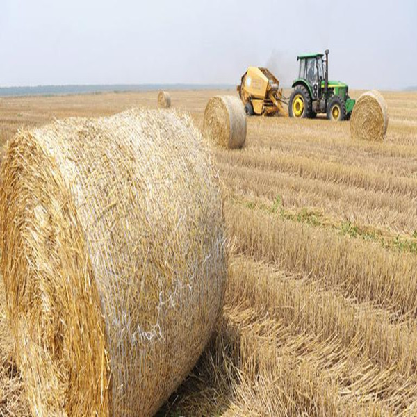 HDPE优质捆草网供应 HDPE优质捆草网供应