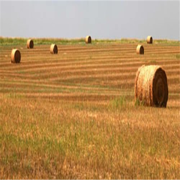 运泰农用HDPE材质玉米秸秆牧草打捆网 运泰农用HDPE材质玉米秸秆牧草打捆网