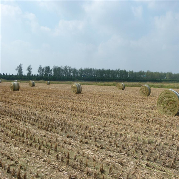 常州运泰农用玉米秸秆打捆网 常州运泰农用玉米秸秆打捆网