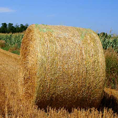 运泰牧草玉米秸秆捆绑网 运泰牧草玉米秸秆捆绑网