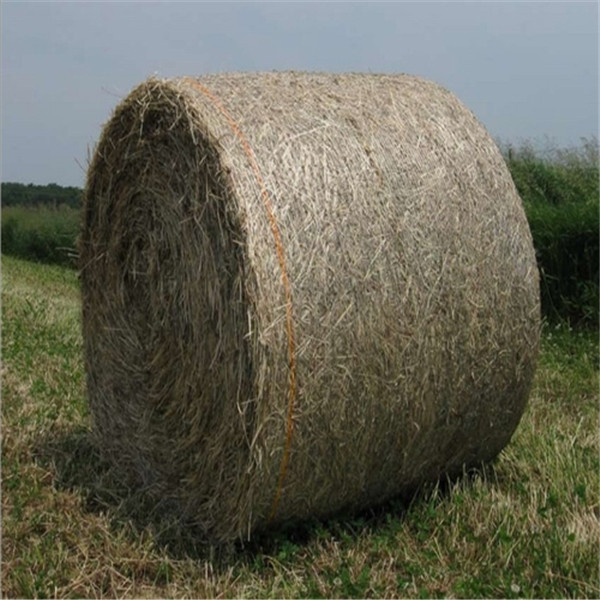 运泰HDPE秸秆、牧草捆草网 运泰HDPE秸秆、牧草捆草网