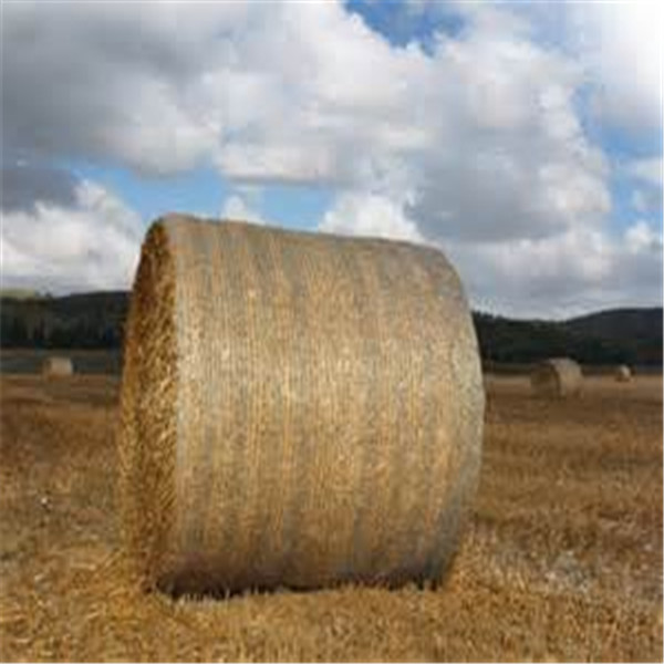 聚乙烯材质高质量低价格捆草网 聚乙烯材质高质量低价格捆草网