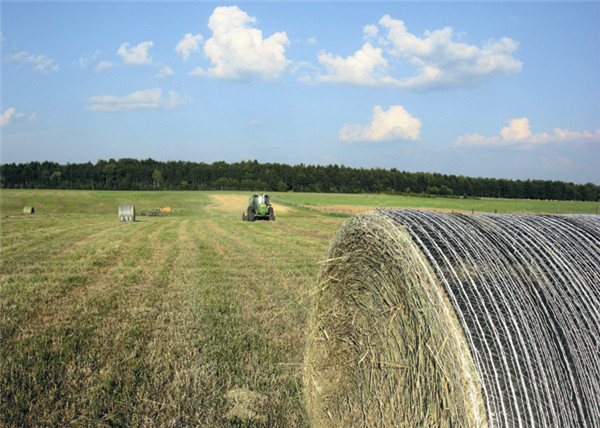 运泰HDPE材质牧草打捆网 厂家直销 运泰HDPE材质牧草打捆网 厂家直销