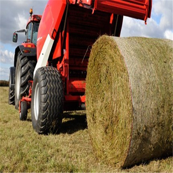 常州厂家直销全新料聚乙烯打捆网 ,捆草网,牧草网 常州厂家直销全新料聚乙烯打捆网 ,捆草网,牧草网