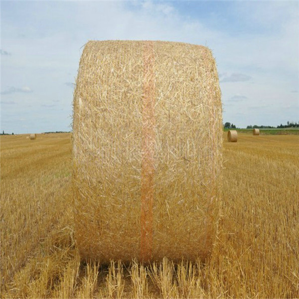 8.33g厂家直销全新料聚乙烯打捆网 8.33g厂家直销全新料聚乙烯打捆网