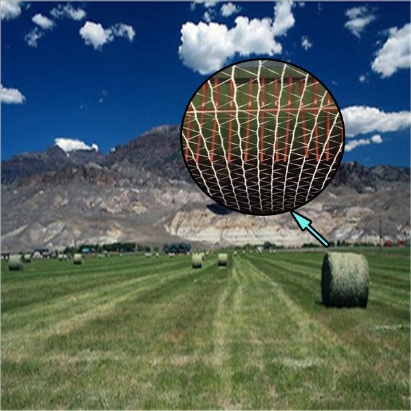 HDPE材质捆草网 出口品质 值得信赖 HDPE材质捆草网 出口品质 值得信赖