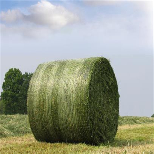 运泰聚乙烯牧草打捆网 价格优惠 运泰聚乙烯牧草打捆网 价格优惠